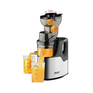 RAF New Stainless Steel Automatic Citrus Fruit Juice Extractor Big Mouth Slow Screw Juicer Cold Press Juicer