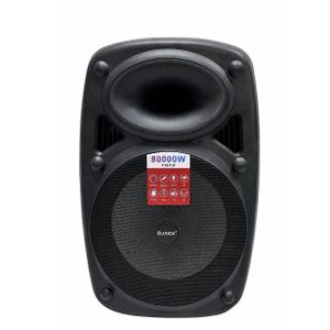 Djack MASSIVE 8000W RECHARGEABLE PUBLIC ADDRESS SYSTEM +2 MICROPHONE + 1 YEAR WARRANTY