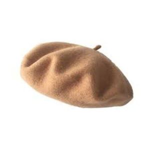 Beautiful Ladies Brown Colour Beret