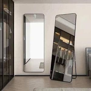 Elegant Standing / Wall Dressing Mirror