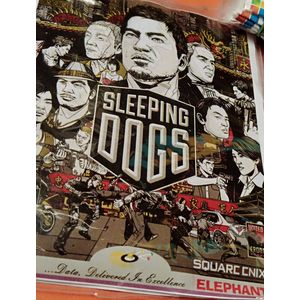 Generic Sleeping Dogs 2