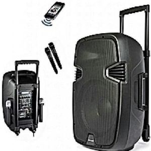 SONOK 8'' Rechargeable Public Address 2 MIC, FM