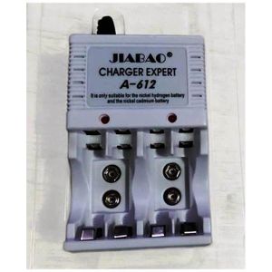 Universal AA, AAA, 9V Charger