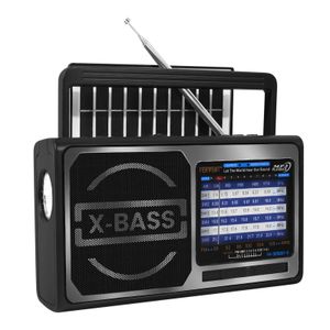 Home Portable FM/AM 8-Band Radio, Bluetooth/USB/TF Music Player, Flashlight (Silver)