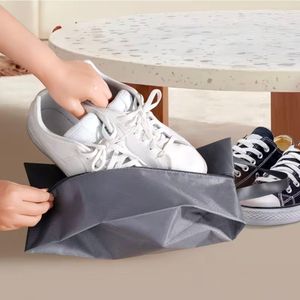 FlexPack Organizer Shoe Bag