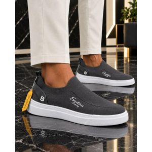 Men Smart Easy Wear Shoe Grey