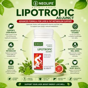WELLNESS NUTRITION Lipotropic Adjunct Tablets – Fat Metabolism & Nutritional Support (90 Tablets)