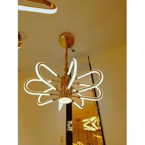 Exclusive Led Dropping Chandelier Light
