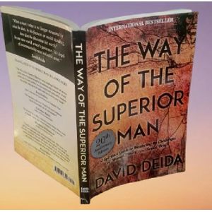 The Way of the Superior Man: A Spiritual Guide to Mastering the Challenges of Women, Work, and Sexual Desire (20th Anniversary Edition) by David Deida