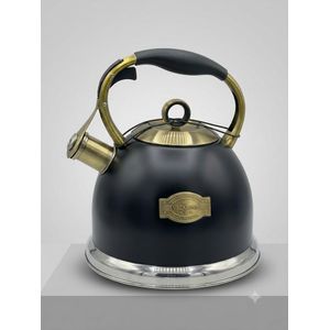 3L Vicalina Whistle Kettle