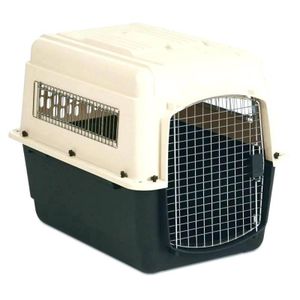TD Cat & Dog Collapsible Plastic Airline Crate Carrier 
