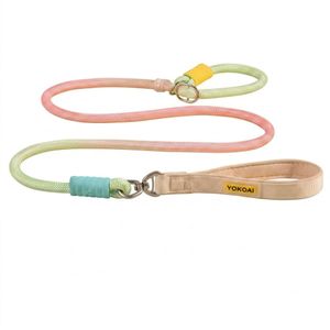 Gradient Slip Lead Dog Leash - All-In-One Heavy-Duty Nylon Rope Training Leash (Beige 1.5m)