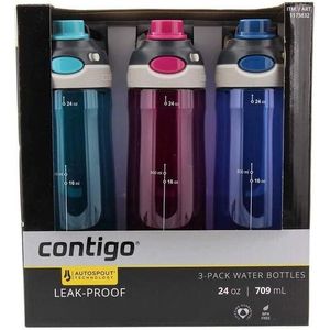 Contigo 24 Ounces Cortland Chill 2.0 Contigo Stainless Steel Insulated  Water Bottle 1 ea, Shop