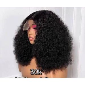 Super soft full curly hair wig with 2 by 4 T closure natural color 14 inches