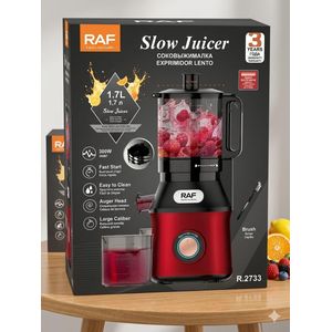 RAF SLOW JUICER(300w)