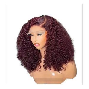 Super soft budget pixie curly hair wig with 4*4 C,_part closure 14 inches