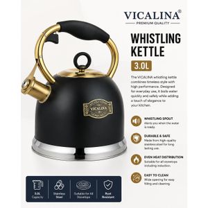 Vicalina 3.0L Whistling Kettle