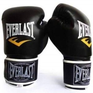 Everlast Quality Leather Boxing Glooves