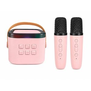 Portable Wireless Karaoke Speaker with 2 Microphones
