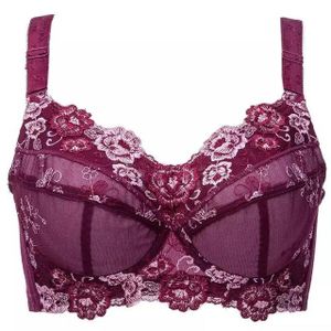 Women's Floral Embroidered Minimizer Full Coverage Bra Lightly