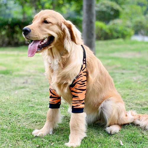 Canine elbow pads shop