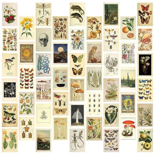Generic Vintage Aesthetic Wall Collage Kit - 50 Mini Botanical ...