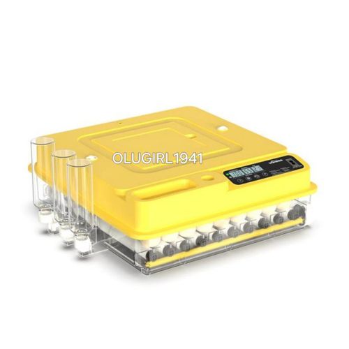 Generic Dual Power Wonegg 72 eggs incubator
