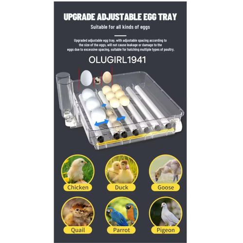 Generic Dual Power Wonegg 72 eggs incubator - image 4