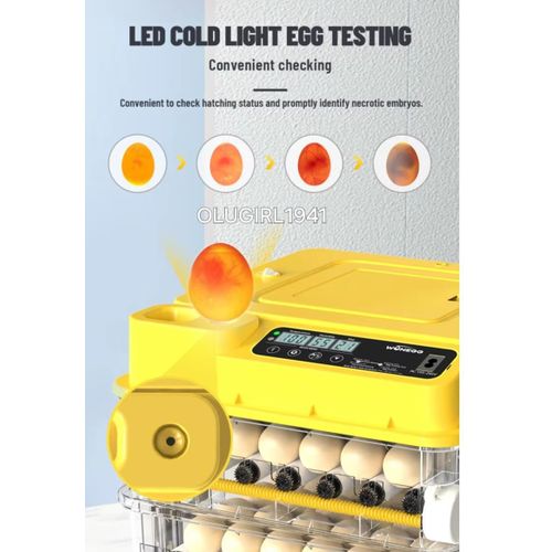 Generic Dual Power Wonegg 72 eggs incubator - image 5