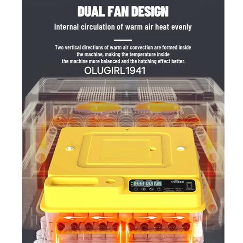 Generic Dual Power Wonegg 72 eggs incubator - image 6