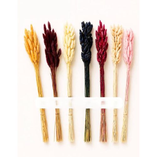 Generic Dried Artificial Pampas Flower For Decoration-1bunch