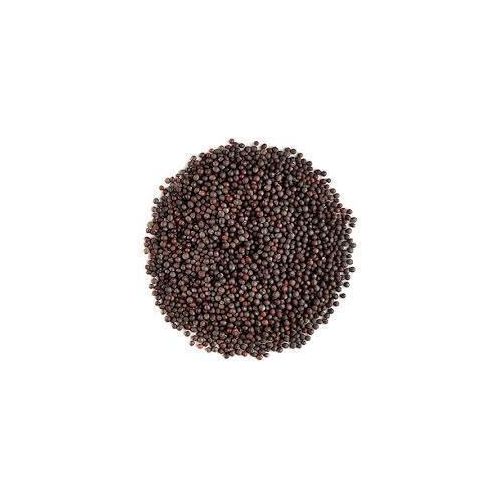Generic Black Mustard Seed - 100g