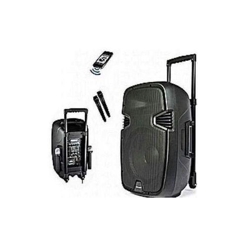 Generic 12'' Bluetooth Rechargeable Public Address System With Mic