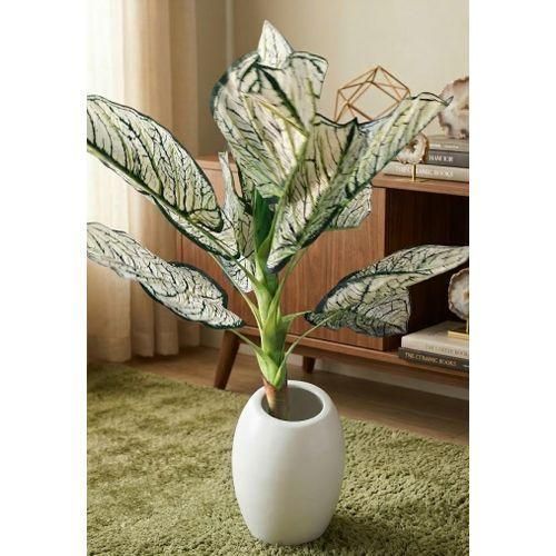 Generic Realistic Aglaonema/Caladium Artificial Plant in White Pot - image 3