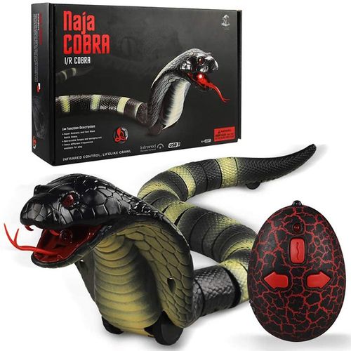 Rc snake outlet