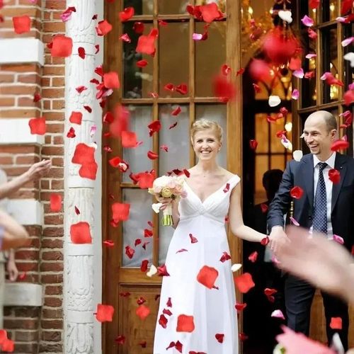 Generic 10Bags Artificial Rose Petals Silk Simulation Flower Petals Wedding Party Romantic Decor-Red - image 3
