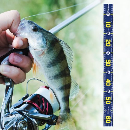 Generic Foldable Fishing Ruler Fish Measuring Tool For Dark Blue