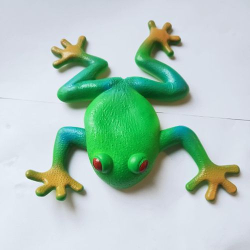 Generic Simulation Frog Soft Stretchy Model Stress Toy