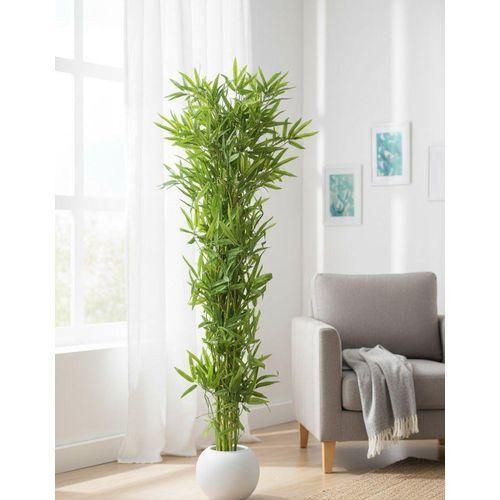 Generic Stunning Artificial Green Bamboo Floor Plant in Luxury Flower Vase