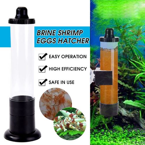 Generic Hot Aquarium Fish Tank Incubator Brine Shrimp Hatcher