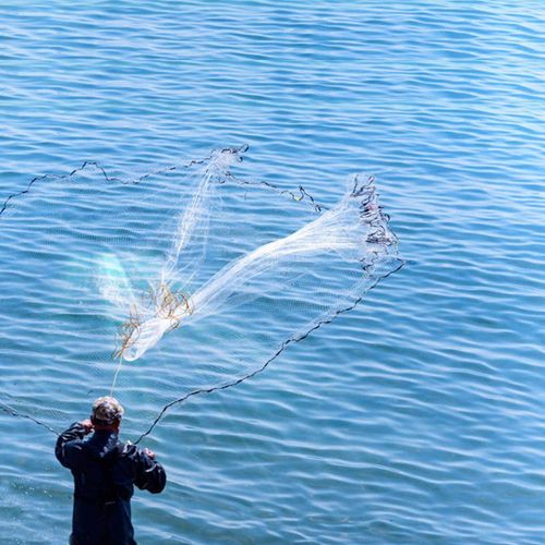Generic Finefish Cast Net Hunting Catch Fishing Net With Disc