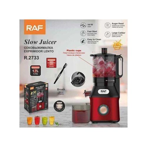 product_image_name-Generic-RAF Industrial Big Mouth Slow Juicer 300V-1