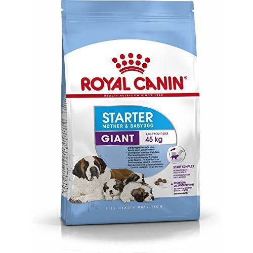 Royal Canin Giant Starter Dry Dog Food Jumia Nigeria