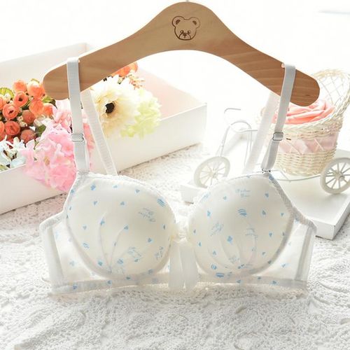 Generic Sexy Lace Women Brassiere Cotton Women Sexy Double Push Up