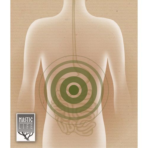 product_image_name-Masticlife-Mastic (Chios Mastic Gum) With Prebiotics 160 Capsules-2