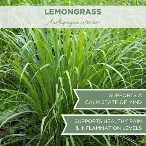 product_image_name-ELANEN naturals-Lemongrass, USDA Certified Organic, Cut & Sifted 4oz 113g-6