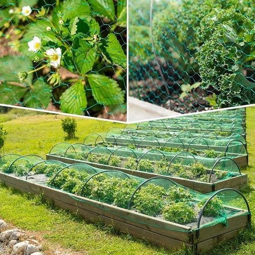 product_image_name-Generic-Bird Netting for Garden (5x20m) Garden Netting Pest Barrier/Plastic netting-8
