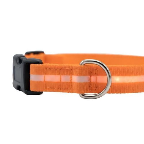 Generic USB Rechargeable LED Pet Collar - Light Up Night Safety Dog Collar (Orange, M) - image 3