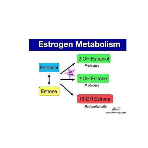 product_image_name-Oc integrative-Calcium-D-Glucarate 60 Capsules Elimination Of Toxins And Excess Steroid Hormones-5