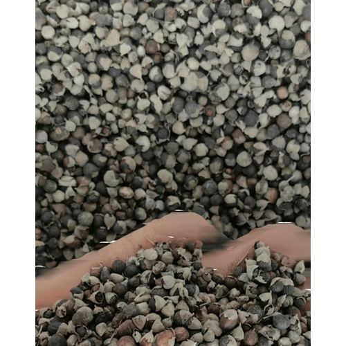 product_image_name-Seed-Vitex Seeds Chaste Tree Berry Seeds 100g -2